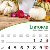 Pogled s cvijecem-11