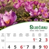 Pogled s cvijecem-2