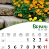 Pogled s cvijecem-8