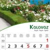 Pogled s cvijecem-9